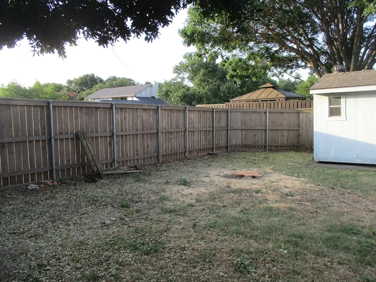 Cleared yard after professional tree removal in Woonsocket